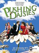 Click image for larger version

Name:	pushing_daisies_s2_poster-480x644.jpg
Views:	1
Size:	91.0 KB
ID:	42487