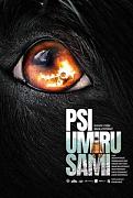 Click image for larger version

Name:	psi-umiru-sami-poster-202x300.jpg
Views:	1
Size:	15.9 KB
ID:	49022