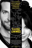 Click image for larger version

Name:	silver-linings-playbook.jpg
Views:	3
Size:	5.6 KB
ID:	41394