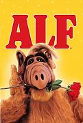 Click image for larger version

Name:	ALF.jpg
Views:	1
Size:	25.6 KB
ID:	38234