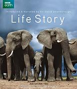 Click image for larger version

Name:	david_attenborough_new_life.jpg
Views:	1
Size:	23.0 KB
ID:	44354