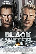 Click image for larger version

Name:	Black Water.jpg
Views:	1
Size:	18.4 KB
ID:	48238