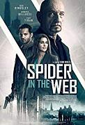 Click image for larger version

Name:	Spider in the Web.jpg
Views:	1
Size:	14.0 KB
ID:	49179