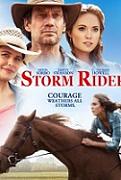 Click image for larger version

Name:	storm.rider.jpg
Views:	1
Size:	14.8 KB
ID:	44269