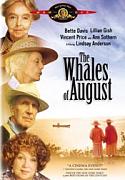 Click image for larger version

Name:	The-Whales-Of-August.jpg
Views:	1
Size:	19.7 KB
ID:	39343