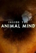 Click image for larger version

Name:	inside.the.animal.mind.jpg
Views:	1
Size:	37.0 KB
ID:	43662