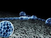 Click image for larger version

Name:	289827_3.jpg
Views:	1
Size:	8.1 KB
ID:	37323