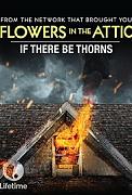 Click image for larger version

Name:	If There Be Thorns.jpg
Views:	1
Size:	18.1 KB
ID:	46112