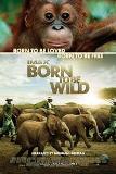 Click image for larger version

Name:	born-to-be-wild.jpg
Views:	2
Size:	5.9 KB
ID:	39302