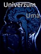 Click image for larger version

Name:	univerzum.uma.jpg
Views:	1
Size:	20.4 KB
ID:	45092