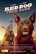 Click image for larger version

Name:	Red Dog True Blue.jpg
Views:	2
Size:	15.8 KB
ID:	47689
