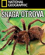 Click image for larger version

Name:	snaga_otrova_dvd_frontpage_image.png
Views:	1
Size:	99.0 KB
ID:	36869