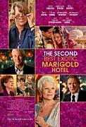 Click image for larger version

Name:	second_best_exotic_marigold_hotel.jpg
Views:	2
Size:	21.8 KB
ID:	45399