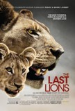 Click image for larger version

Name:	last_lions.jpg
Views:	1
Size:	8.0 KB
ID:	38794