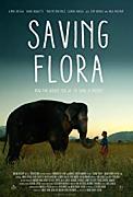 Click image for larger version

Name:	Saving Flora.jpg
Views:	1
Size:	9.8 KB
ID:	49082