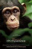 Click image for larger version

Name:	chimpanzee.jpg
Views:	1
Size:	5.0 KB
ID:	41234