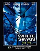 Click image for larger version

Name:	Assasins-Run.jpg
Views:	1
Size:	20.9 KB
ID:	42446