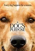 Click image for larger version

Name:	A Dogs Purpose.jpg
Views:	2
Size:	17.6 KB
ID:	47256