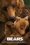 Click image for larger version

Name:	Bears_2014.jpg
Views:	1
Size:	16.8 KB
ID:	44153