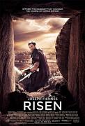Click image for larger version

Name:	risen.jpg
Views:	1
Size:	28.6 KB
ID:	46259