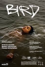 Click image for larger version

Name:	Bird.jpg
Views:	2952
Size:	18.2 KB
ID:	52043