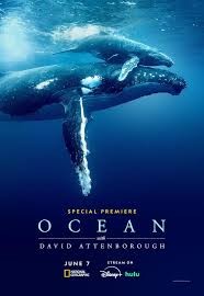 Click image for larger version

Name:	Ocean with David Attenborough.jpg
Views:	22000
Size:	12.6 KB
ID:	52706